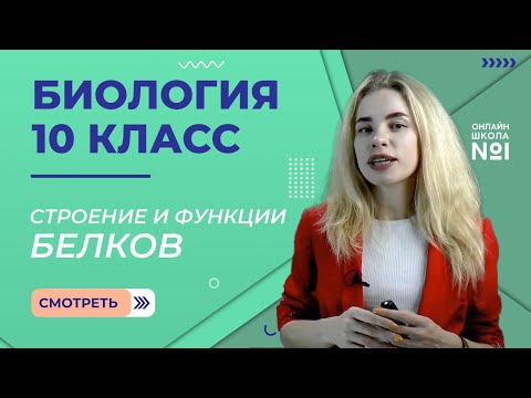 Видео: Урок 6. Строение и функции белков. Биология 10 класс