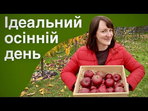 Видео: ТЕПЛИЙ ОСІННІЙ ДЕНЬ ЗА МІСТОМ | ЗАТИШОК, ЯБЛУКА І ВОГОНЬ У КАМІНІ