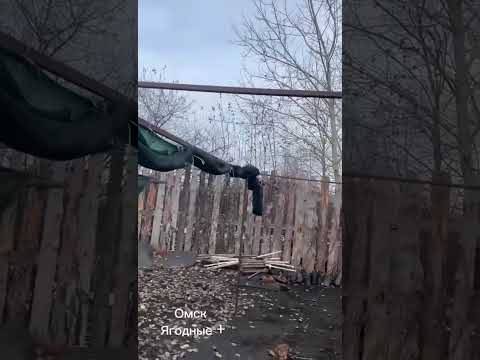 Видео: Погода чудит. Снег растаял. Готовим контейнерную площадку к новому сезону. 