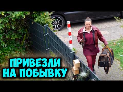 Видео: Влог, они встретились спустя долгое время, неожиданная реакция, готовлюсь в ночной поход с детьми