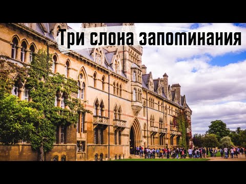 Видео: Три главных принципа запоминания