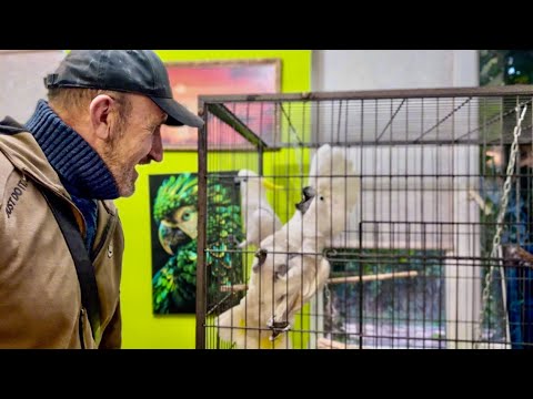 Видео: Папа с Кешей и Жориком УСТРОИЛИ ДЖАГА-ДЖАГУ, Финик с Анфиса в ТИХОМ УЖАСЕ!)) 