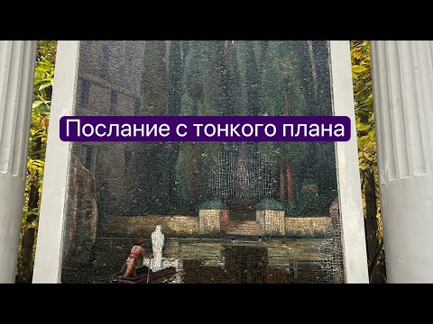 Видео: Отговорила роща золотая березовым, весёлым языком..🐦‍🔥🍂