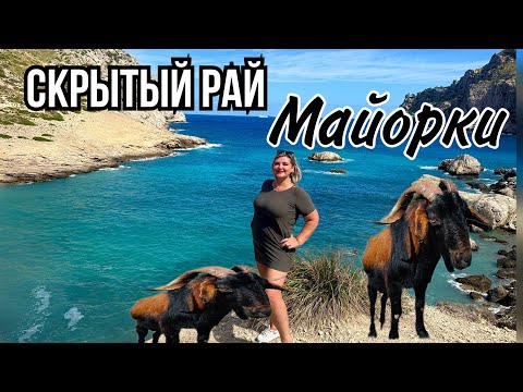 Видео: МАЙОРКА -АЛЬКУДИЯ БУХТА СУПЕР БЕЗ МАШИНЫ НО ПЛЯЖ…