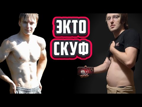 Видео: Эктоморф стал Скуфом? потолстел без химии