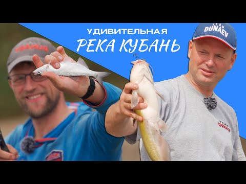 Видео: Две ДОНКИ на СИЛЬНОМ течении. Река КУБАНЬ