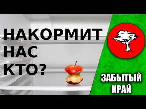 Видео: Накормит нас кто?