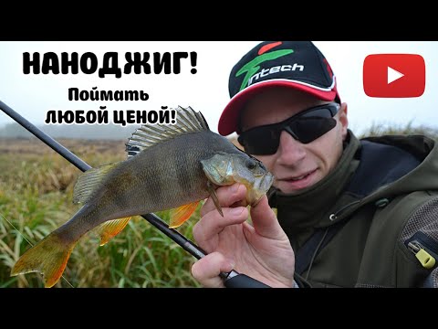 Видео: НАНОДЖИГ! Поймать ЛЮБОЙ ЦЕНОЙ!