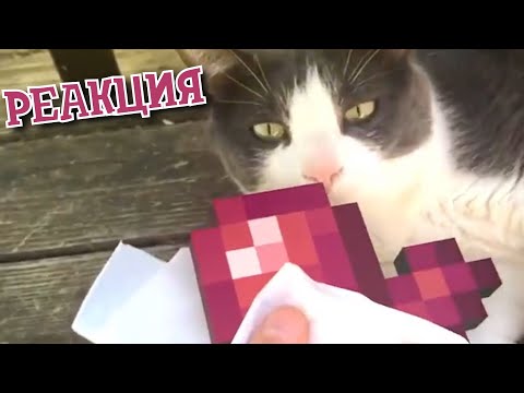 Видео: РЕАКЦИЯ НА UNUSUAL MEMES COMPILATION V101 | ЗАСМЕЯЛСЯ - ПОДПИСАЛСЯ