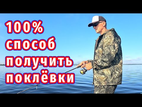 Видео: Рыбалка когда не клюёт! Есть проверенный способ получить поклёвки!
