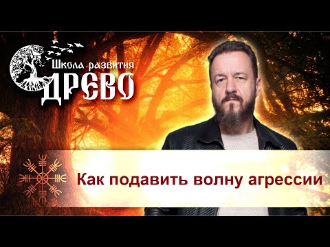 Видео: Как подавить волну агрессии