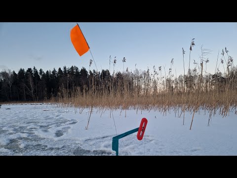 Видео: АКТИВНЫЙ ВЫХОД ЩУКИ.ЗИМНЯЯ РЫБАЛКА НА ЖЕРЛИЦЫ.РЫБАЛКА В ГЛУХОЗИМЬЕ