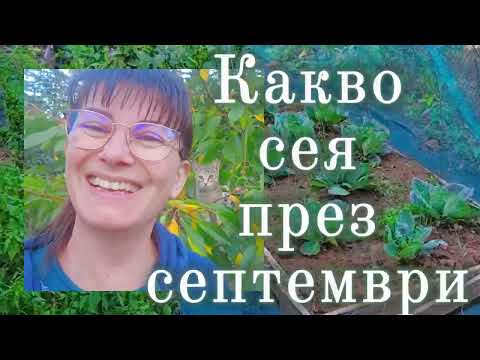 Видео: Какво да засадим през есента