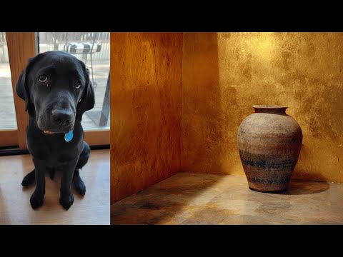 Видео: Может ли Израиль стать верным слугой посредством оперантного обусловливания?