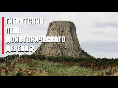 Видео: НЕ ПОВЕРИЛ  бы , если бы сам НЕ УВИДЕЛ