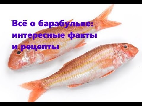 Видео: Барабулька: интересные факты и рецепты