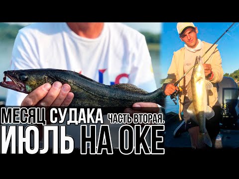 Видео: ЛОВЛЯ СУДАКА и БЕРША на ДЖИГ в НИЖНЕМ НОВГОРОДЕ | Спиннинг с лодки на Оке и Волге | Часть вторая
