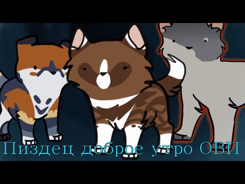 Видео: CatWar история Маси часть первая