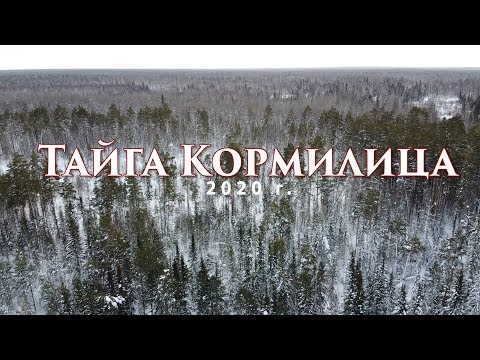 Видео: Тайга Кормилица 2020 - староверы Горченевы ч1