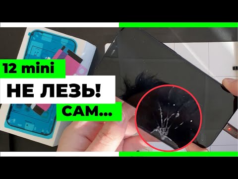 Видео: Не лезь в 12 мини Сам! Не лезь!