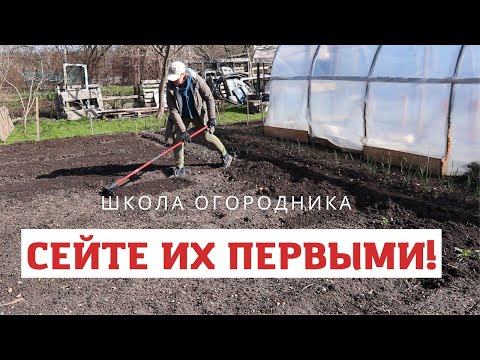 Видео: Сейте эти культуры как только сойдёт снег!
