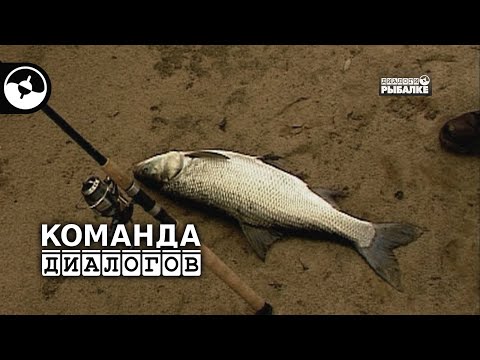 Видео: Зимний спиннинг | Классика