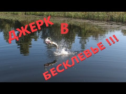 Видео: Если Щука не клюет - Лови на Джерк!