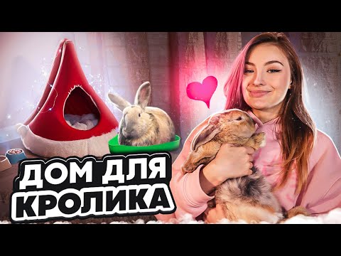 Видео: НОВОГОДНИЙ ДОМ ДЛЯ КРОЛИКА