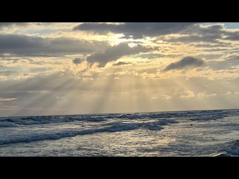 Видео: Его мысли о Вас сегодня 🌸