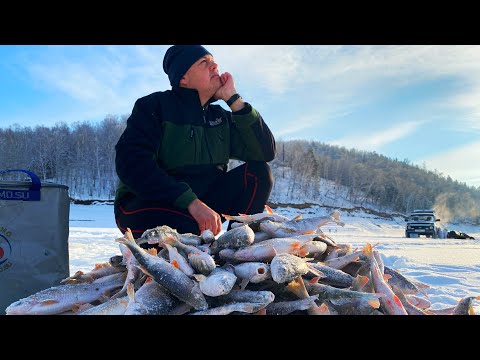 Видео: ПОЛНЫЕ МЕШКИ РЫБЫ! ПОПАЛИ НА БЕШЕННЫЙ ЖОР удачная рыбалка