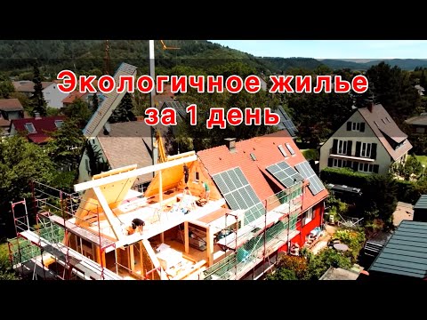 Видео: Эко-дом за 1 день #стройка #экодом #инвестиции 