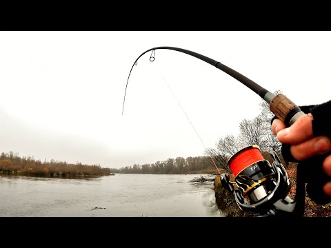 Видео: КЛЮНУВ ТРОФЕЙ, АЛЕ ЯК ЙОГО ПІДНЯТИ? Трофейна щука на джиг 2022! Ловля щуки на Десні восени 2022!