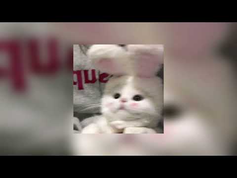 Видео: егор шип - как твои дела? (speed up)