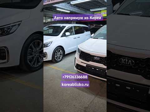 Видео: Авто напрямую из Южной Кореи на заказ. #автоизкореи #koreablizko