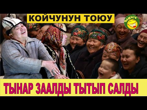 Видео: ТЫНАР КОЙЧУНУН ТОЮУ//ТЫНАР КЕЛИНДИ ЭМНЕ КЫЛЫШТЫ БИЛБЕЙ