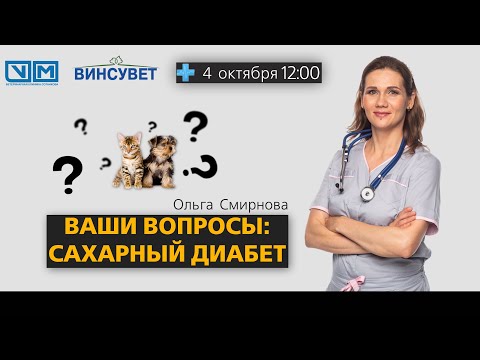 Видео: Ваши вопросы: сахарный диабет