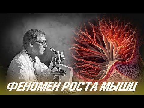 Видео: Научный Феномен Роста Мышц Перекрестная адаптация