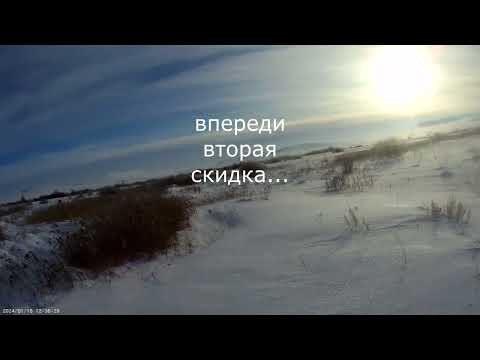 Видео: Удачная охота на зайца