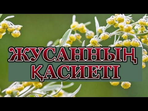 Видео: Жусанның пайдасы.