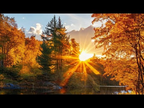 Видео: Свет.  Песня на стихи Раисы Йилдырим и Олега Никула