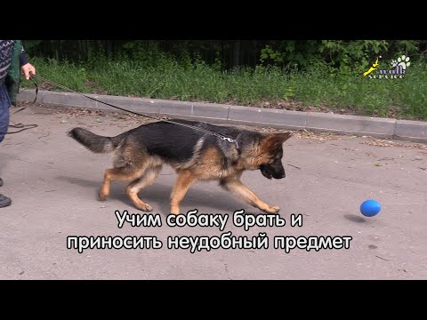 Видео: Тригер 67 и Босерон, сложный предмет для апортировки