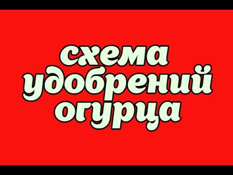 Видео: КОРНЕВАЯ ПОДКОРМКА ОГУРЦОВ МИНЕРАЛЬНЫМИ УДОБРЕНИЯМИ!