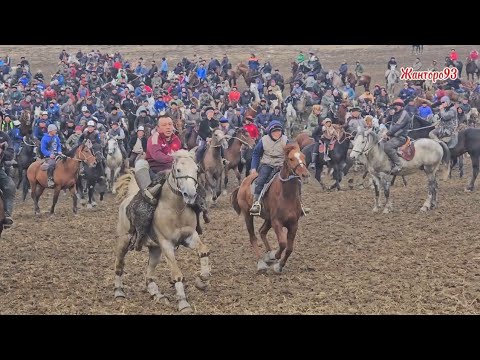 Видео: Абдыкалык балбан  5 карага  таштады ноября 2025 г.