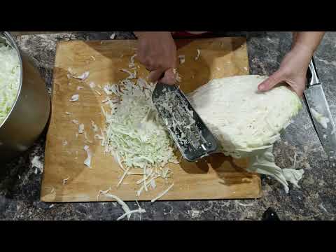 Видео: 23 октября 2025 г.