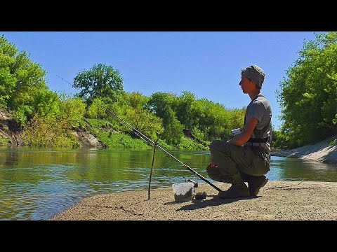 Видео: РЫБАЛКА ПРОСТО СКАЗКА! НОЧЕВКА НА ДИКОМ ПЛЯЖУ! Ловля рыбы на донку 2024.