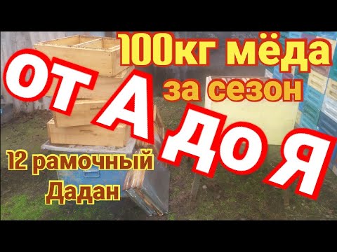 Видео: 100кг мёда за сезон. От А до Я. Работа в 12 рамочном улье .