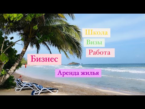 Видео: Переезд на Шри-Ланку 2023 ( спустя 5 мес )
