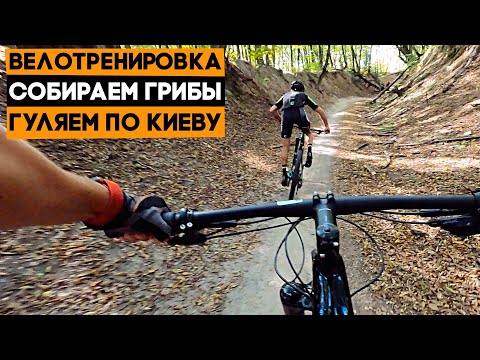 Видео: Тренировка с Васей, грибы и прогулки по Киеву - ВИДЕОБЛОГ!