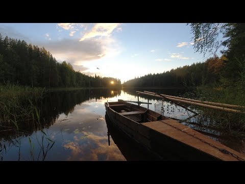 Видео: ПРОВЕДАЛИ ИЗБУ. ПОЗВОНИЛ ЛЕОНТЬЕВИЧУ взял СЫНА и УЕХАЛИ в ТАЙГУ на КОРДОН. Часть первая.