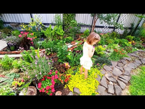 Видео: Заменители газона часть 1.